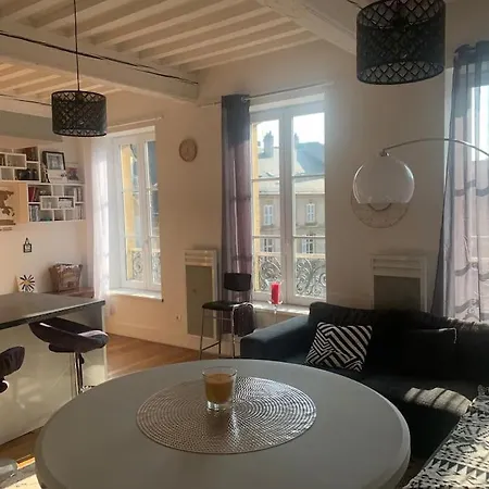 公寓 Duplexcoeur De 梅斯